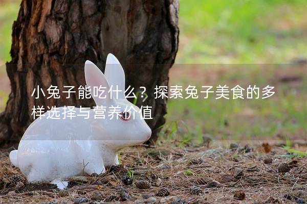 小兔子能吃什么？探索兔子美食的多样选择与营养价值