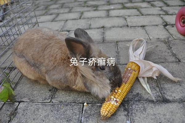 兔子疥癣病