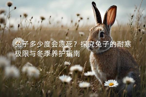 兔子多少度会冻死？探究兔子的耐寒极限与冬季养护指南