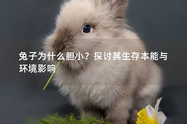 兔子为什么胆小？探讨其生存本能与环境影响