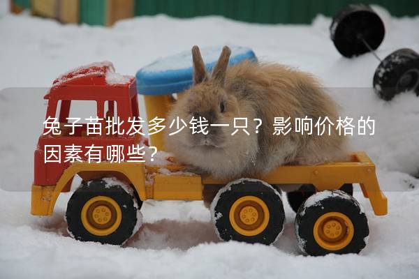 兔子苗批发多少钱一只？影响价格的因素有哪些？