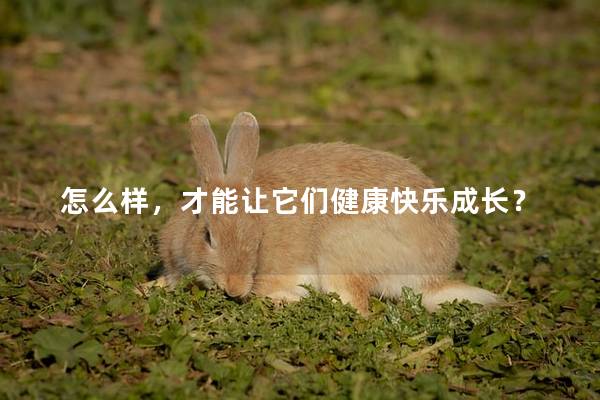怎么样，才能让它们健康快乐成长？