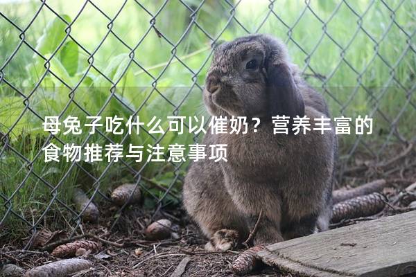 母兔子吃什么可以催奶？营养丰富的食物推荐与注意事项