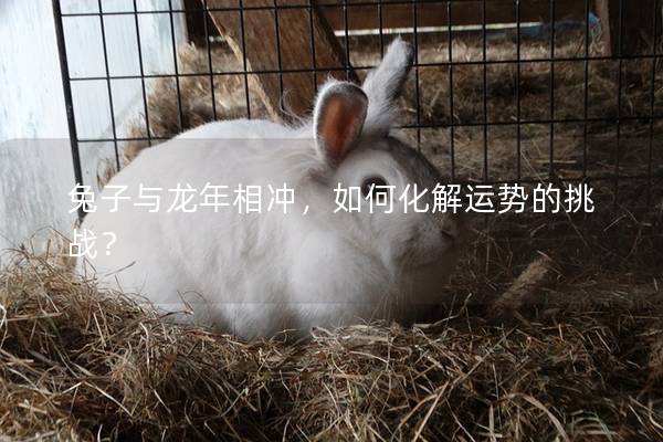 兔子与龙年相冲，如何化解运势的挑战？