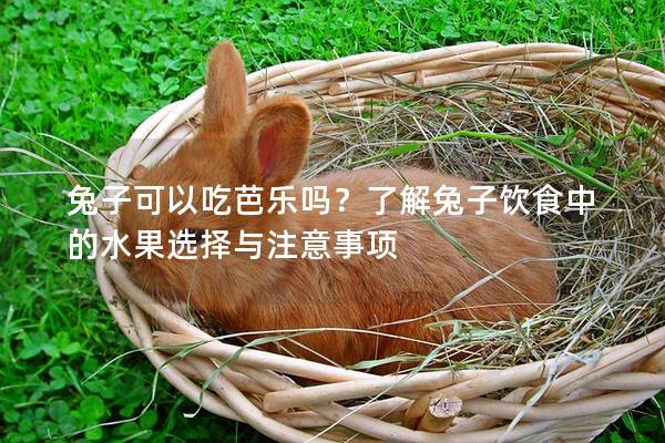 兔子可以吃芭乐吗？了解兔子饮食中的水果选择与注意事项