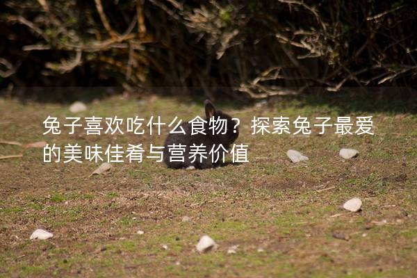 兔子喜欢吃什么食物？探索兔子最爱的美味佳肴与营养价值