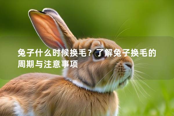 兔子什么时候换毛？了解兔子换毛的周期与注意事项