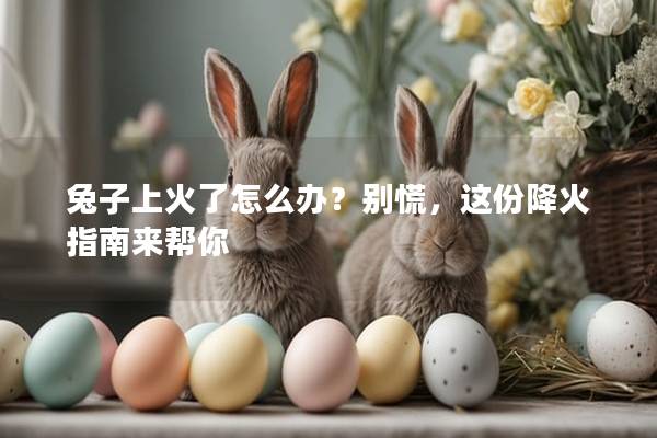 兔子上火了怎么办？别慌，这份降火指南来帮你