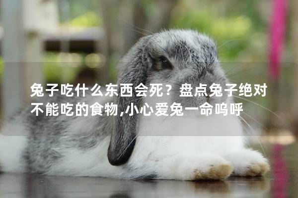 兔子吃什么东西会死？盘点兔子绝对不能吃的食物,小心爱兔一命呜呼