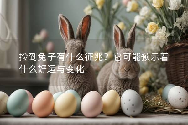 捡到兔子有什么征兆？它可能预示着什么好运与变化