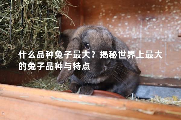 什么品种兔子最大？揭秘世界上最大的兔子品种与特点