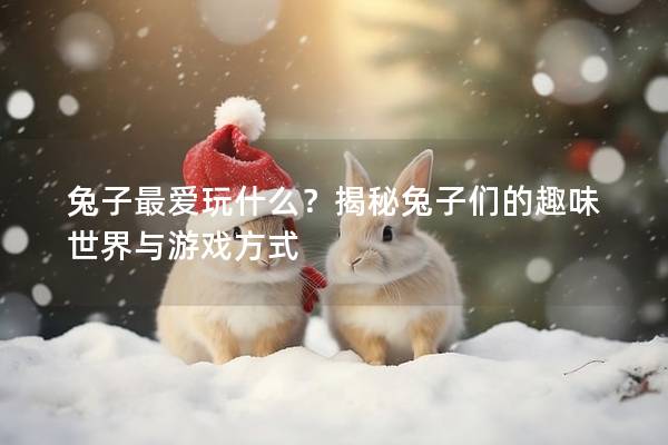 兔子最爱玩什么？揭秘兔子们的趣味世界与游戏方式