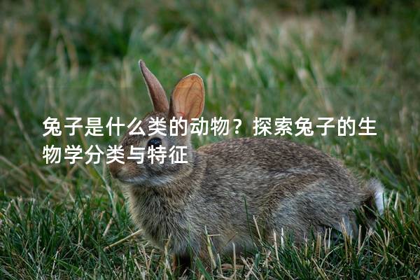 兔子是什么类的动物？探索兔子的生物学分类与特征