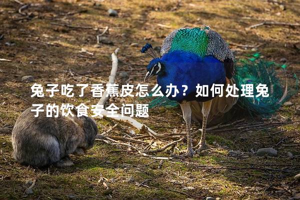 兔子吃了香蕉皮怎么办？如何处理兔子的饮食安全问题
