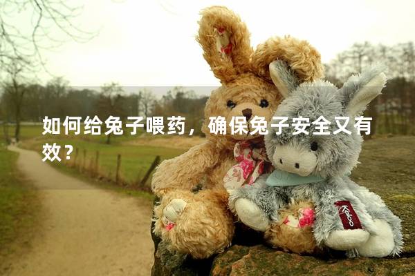 如何给兔子喂药，确保兔子安全又有效？