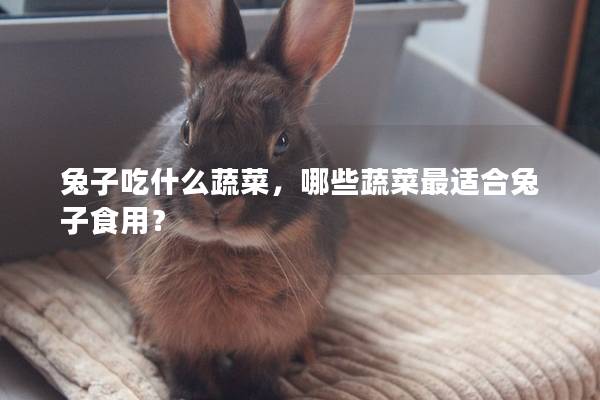 兔子吃什么蔬菜，哪些蔬菜最适合兔子食用？