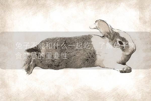 兔子不能和什么一起吃，了解兔子饮食禁忌的重要性