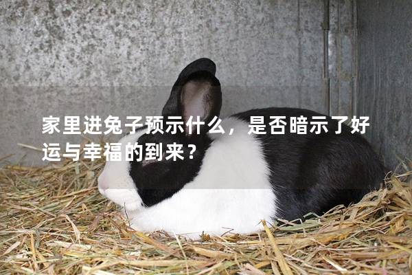 家里进兔子预示什么，是否暗示了好运与幸福的到来？