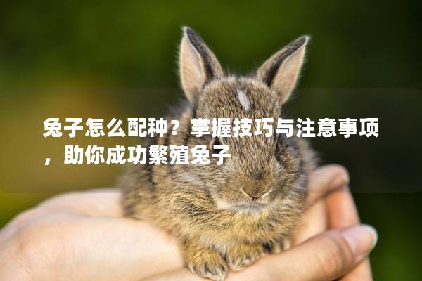 兔子怎么配种？掌握技巧与注意事项，助你成功繁殖兔子