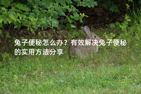 兔子便秘怎么办？有效解决兔子便秘的实用方法分享