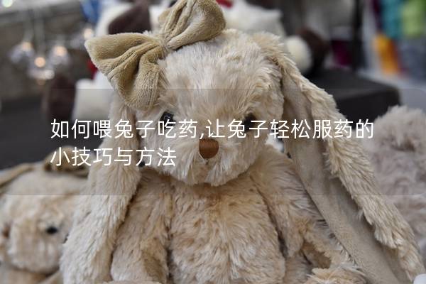 如何喂兔子吃药,让兔子轻松服药的小技巧与方法