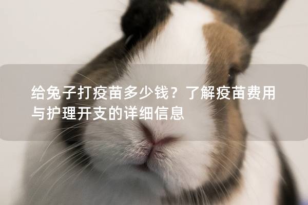 给兔子打疫苗多少钱？了解疫苗费用与护理开支的详细信息