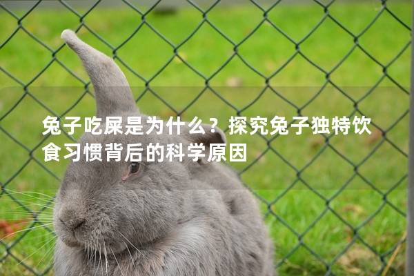 兔子吃屎是为什么？探究兔子独特饮食习惯背后的科学原因