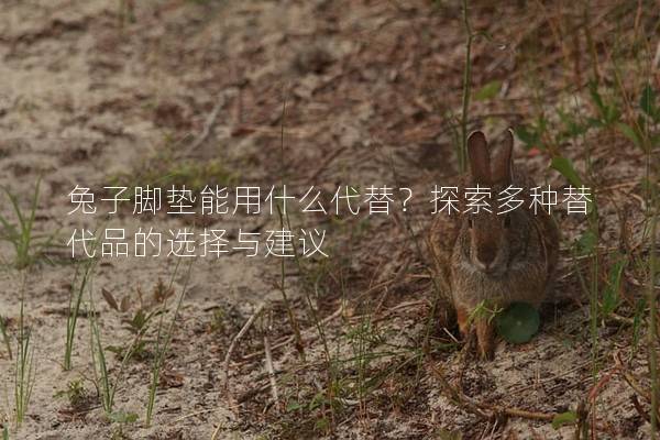 兔子脚垫能用什么代替？探索多种替代品的选择与建议