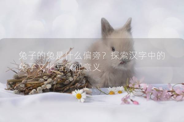 兔子的兔是什么偏旁？探索汉字中的兔子文化与象征意义