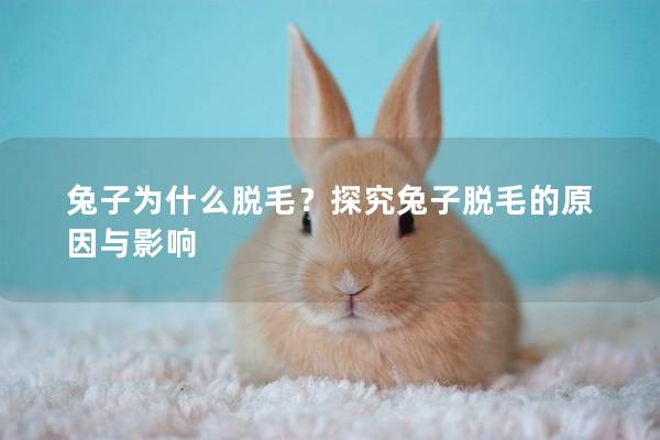 兔子为什么脱毛？探究兔子脱毛的原因与影响