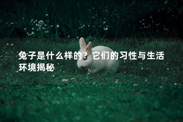 兔子是什么样的？它们的习性与生活环境揭秘
