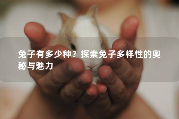 兔子有多少种？探索兔子多样性的奥秘与魅力