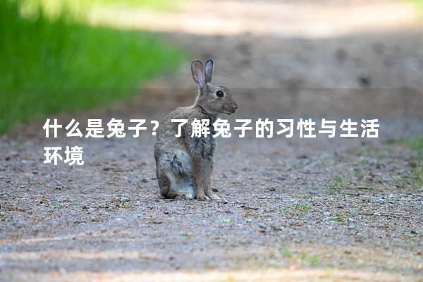 什么是兔子？了解兔子的习性与生活环境
