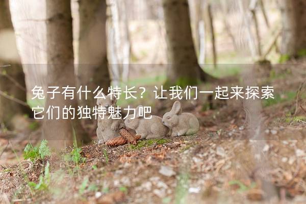 兔子有什么特长？让我们一起来探索它们的独特魅力吧