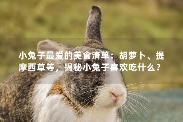 小兔子最爱的美食清单：胡萝卜、提摩西草等，揭秘小兔子喜欢吃什么？