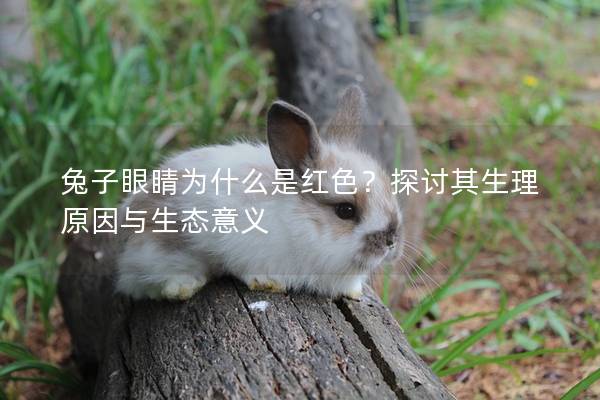 兔子眼睛为什么是红色？探讨其生理原因与生态意义