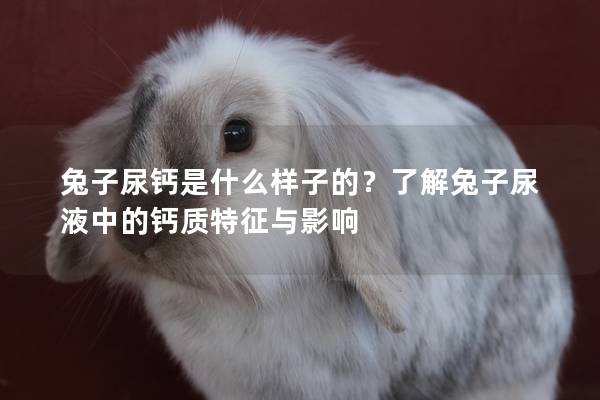兔子尿钙是什么样子的？了解兔子尿液中的钙质特征与影响