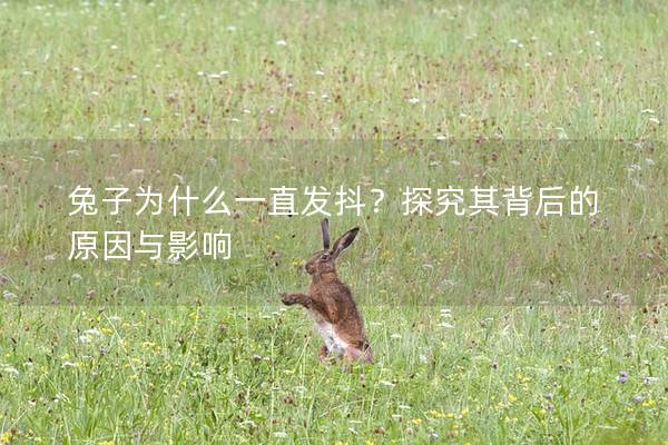 兔子为什么一直发抖？探究其背后的原因与影响