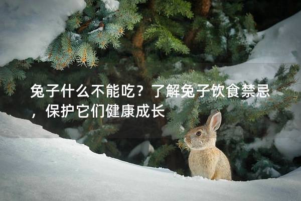 兔子什么不能吃？了解兔子饮食禁忌，保护它们健康成长