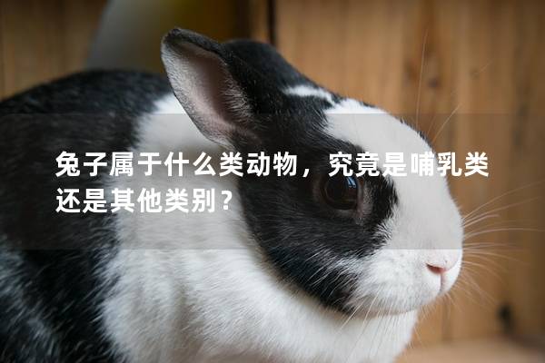 兔子属于什么类动物，究竟是哺乳类还是其他类别？