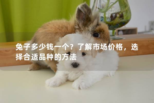 兔子多少钱一个？了解市场价格，选择合适品种的方法