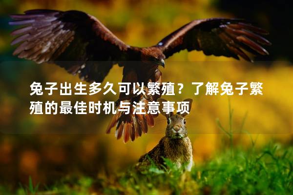 兔子出生多久可以繁殖？了解兔子繁殖的最佳时机与注意事项