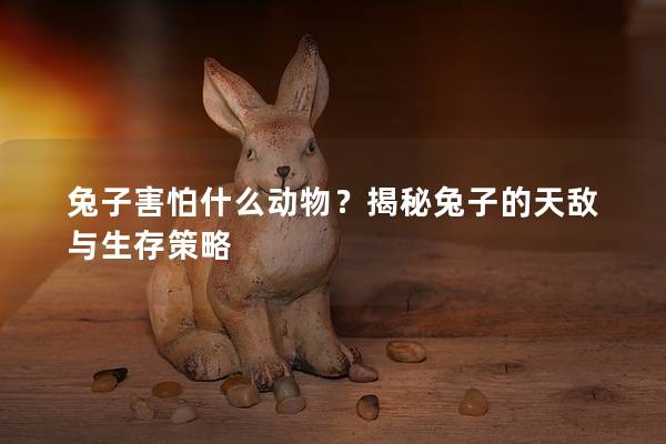 兔子害怕什么动物？揭秘兔子的天敌与生存策略