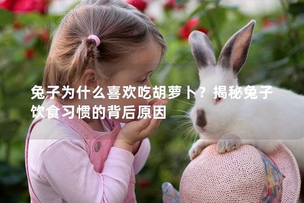 兔子为什么喜欢吃胡萝卜？揭秘兔子饮食习惯的背后原因