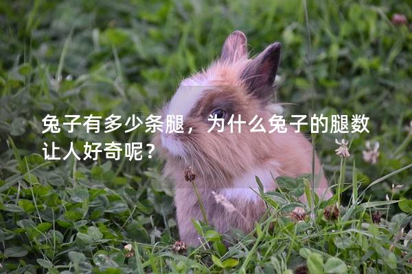 兔子有多少条腿，为什么兔子的腿数让人好奇呢？