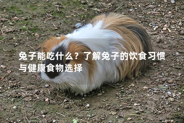 兔子能吃什么？了解兔子的饮食习惯与健康食物选择