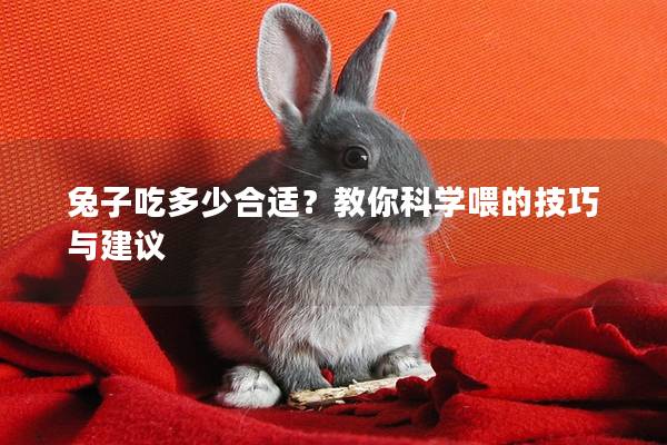 兔子吃多少合适？教你科学喂的技巧与建议