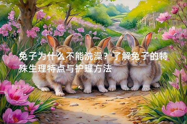 兔子为什么不能洗澡？了解兔子的特殊生理特点与护理方法