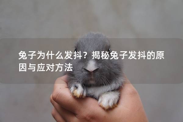 兔子为什么发抖？揭秘兔子发抖的原因与应对方法
