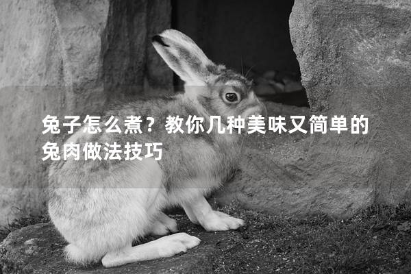 兔子怎么煮？教你几种美味又简单的兔肉做法技巧